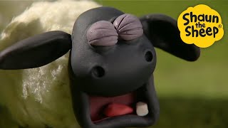 What's Wrong Timmy! 🐑 Shaun the Sheep 🐑 - Cartoons for Kids 🐑 Full Episodes Compilation [1 hour]