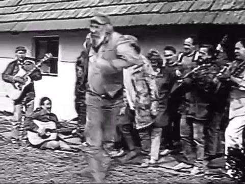 Wabi Ryvola - Slet divnejch ptáků
