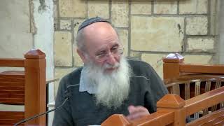 חַג ה' בְּשִׁלוֹ - שיעור 72  - ספר שופטים - פרק כ"א (הרב אורי עמוס שרקי) - התמונה מוצגת ישירות מתוך אתר האינטרנט יוטיוב. זכויות היוצרים בתמונה שייכות ליוצרה. קישור קרדיט למקור התוכן נמצא בתוך דף הסרטון