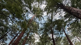 Prepare for Transformation – Meditation Monday.