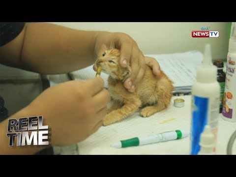 Magsunog ng taba soda Quote Faina Ranevskaya tungkol pagbaba ng timbang