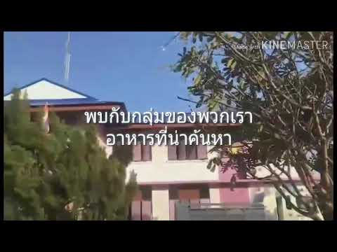 download lagu mp3 mp4 Search Food, download lagu Search Food gratis, unduh video klip Search Food