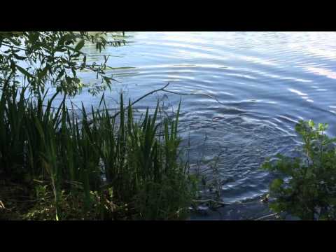 40secs of Burghfield main lake