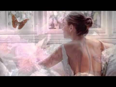 Motýl - Milan Chladil a Jitka Zelenková