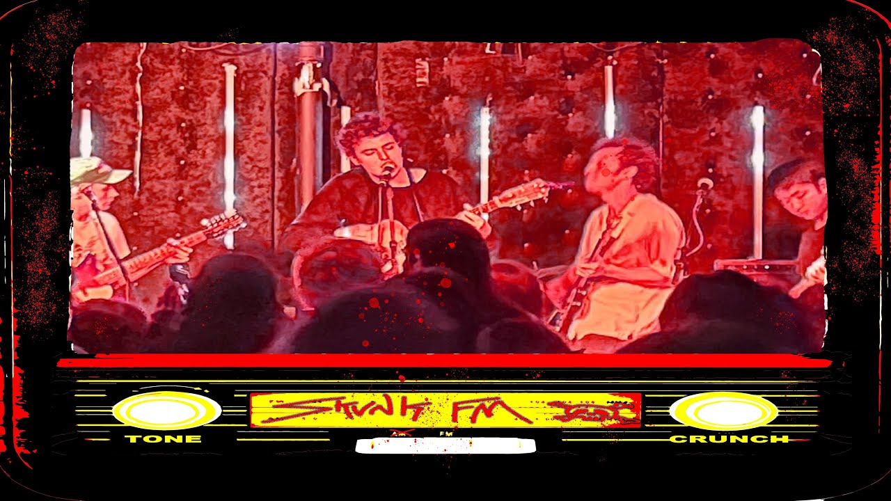 Skunk FM (24/7 Crazy Music to Listen To)