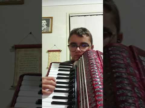 Miroslav Ilic I Saban Saulic