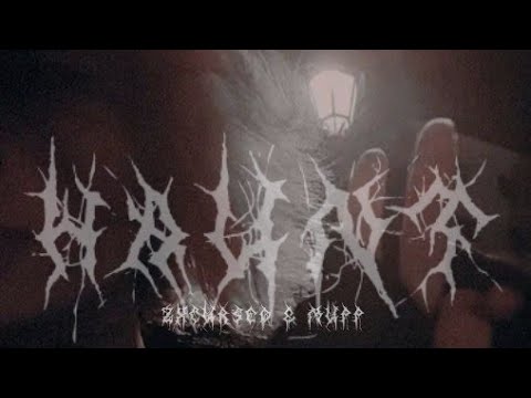 zxcursed, MUPP - haunt (snipp, and clip)