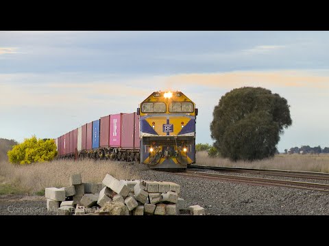 9173 QUBE Ultima Broad Gauge Container Train VL356 & VL353 (20/8/2024) - PoathTV Australian Railways
