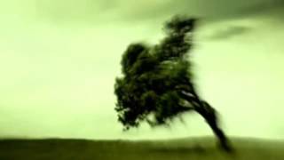 Herb Weidner Spuren im Wind