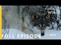 Land Of Ice And Snow Full Episode Wild Nordic