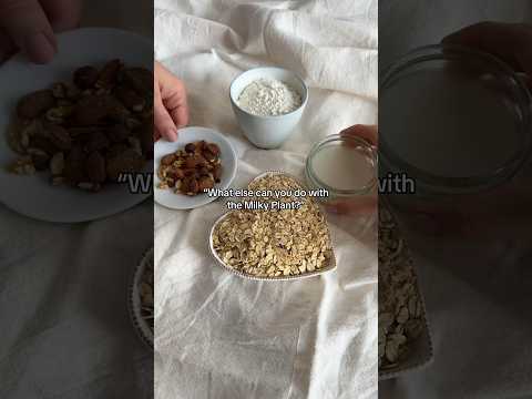 How to use the Milky Plant: Make plant milk, use leftover pulp and enjoy! #milkyplant #plantbased