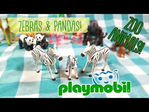 Zebras & Pandas! | Playmobil Zoo Animals | EDUCATIONAL Opening and Review