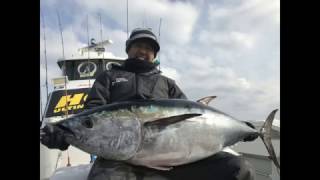 クロマグロジギング最強新兵器で完全パターン攻略！