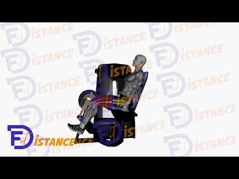 Exercice Flexion des ischio-jambiers en position assise (Leg curl assis)