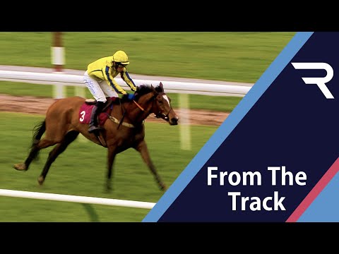 Smart horse! Triumph Hurdle hope PORTICELLO bolts up by 17 lengths at Haydock - Racing TV
