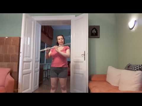 Legkedvesebb hobby, FLUTE! - Zongoraiskola 1, 2, 3, 4, 5, 6, 7, 8 és majdnem megfulladtam :)