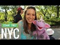 Sesame Street Mickela Mallozzi Dances With The Muppets