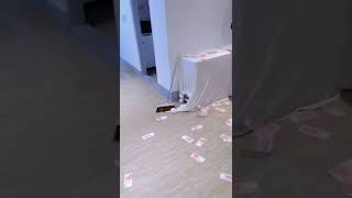 今年生日要不要換一種生日蛋糕 #生日蛋糕 #moneycake #三重 #噴錢蛋糕 #生日禮物 #手作禮物