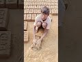 Training Sort Siddhi Ma Ganpati