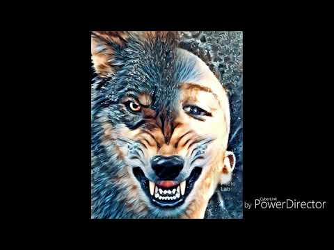 (Jungleboi) = who run it