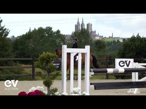 Lubie de Kervel SAUT