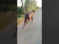 Runing Start