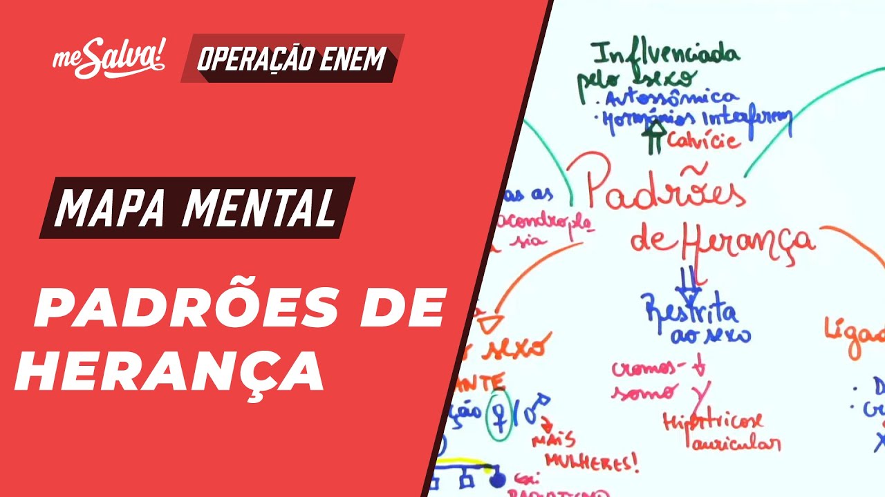 Padrões de Herança - Biologia | Mapas Mentais ENEM 2024 | Me Salva!