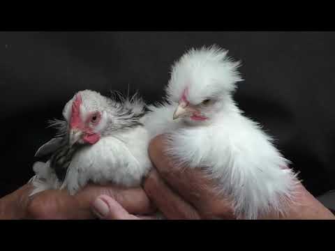 Morning Prayer –Saturday, 7th August 2021