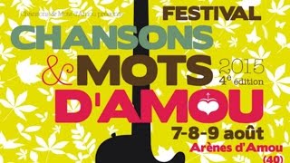 Festival Chansons & Mots d'Amou • Making of