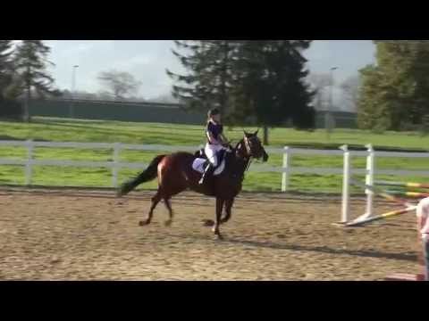 Alina Bücheler an der Vereinsmeisterschaft 2014
