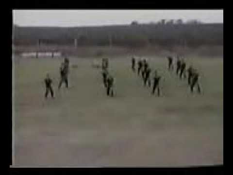 Arkanove delije (pjesma)