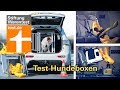 Test Hundeboxen Fürs Auto: Welche Am Besten Schützen (Vergleichstest Hundetransport)