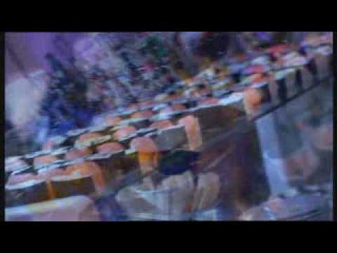 A Night @ Zuri Knokke