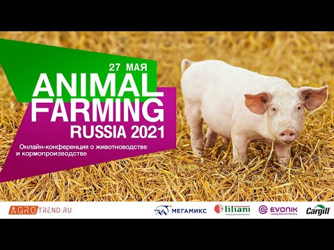 ANIMAL FARMING RUSSIA 2021
