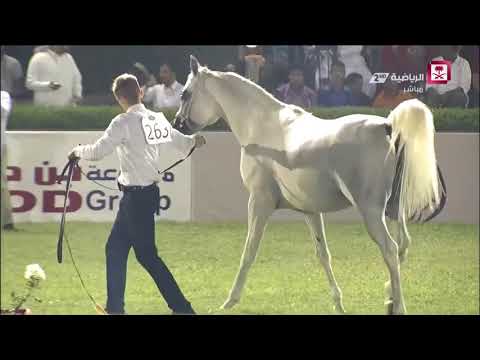 KHALED ALHAMAD IN mecca show 2017