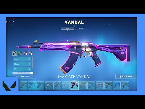 *NEW* TEAM ACE FULLY UPGRADED BUNDLE VALORANT