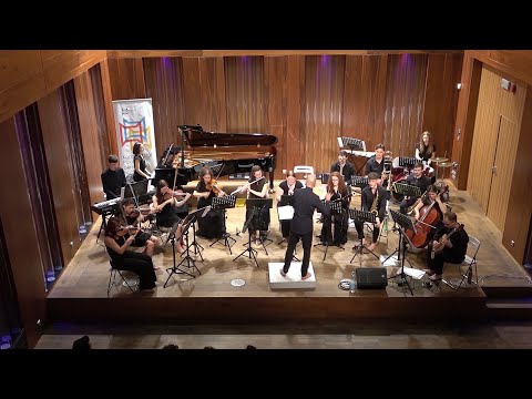 Benjamin Špíral: SYMPHONY (...for ZPO 2) | Zelí-Potkan Orchestra