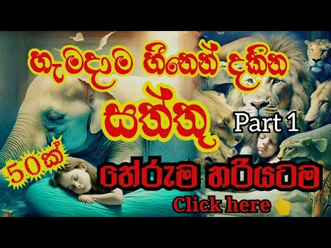 සත්තු හීනෙන් දැක්කා නේද? | හරිම තේරුම | 20ක් සුභයි ඉතිරිය අසුභයි. | Animals | dream | Part 01