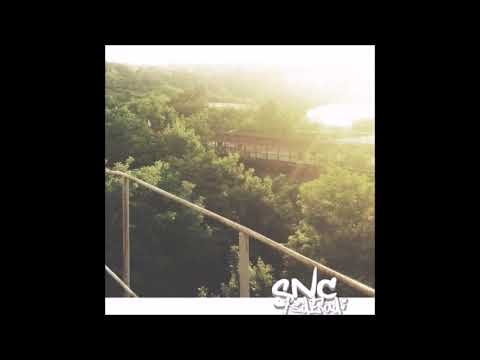 05. sincerityisdead - leaving