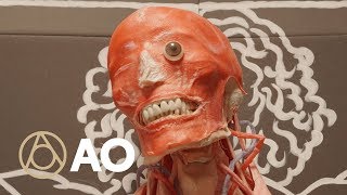 A Glimpse Inside Florida&#39;s Cadaver Factory