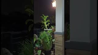 Download lagu STORY WA 30 DETIK VIRAL IBU || QUOTE MOTHER || QUOTE VIRAL BIKIN MEWEK #SHORTS mp3