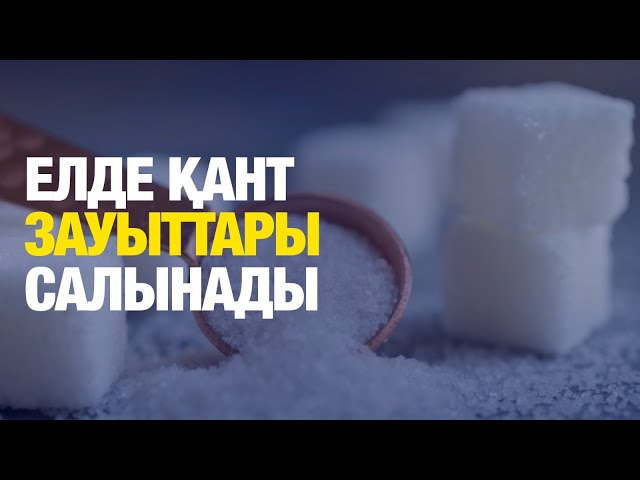 ЖАҢАЛЫҚТАР. 15.11.2024 күнгі шығарылым