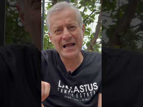 Variedad de cargadores para autos eléctricos