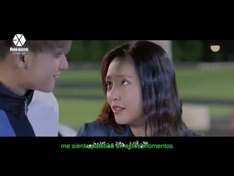 Z TAO   Collateral Love