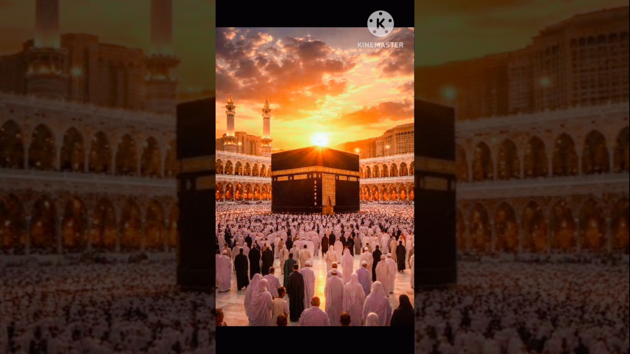 Al Quran Urdu Translation ✨ #allah #quran #viral #popular #islamicshorts
