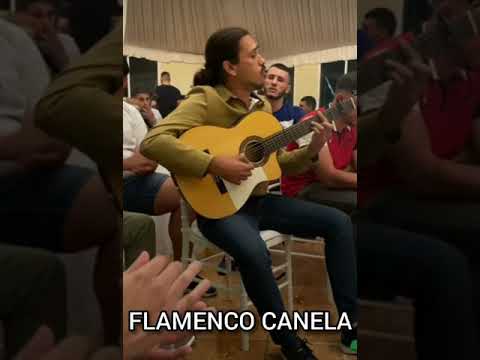 Como Se Quiere A Una Mare - Canelita