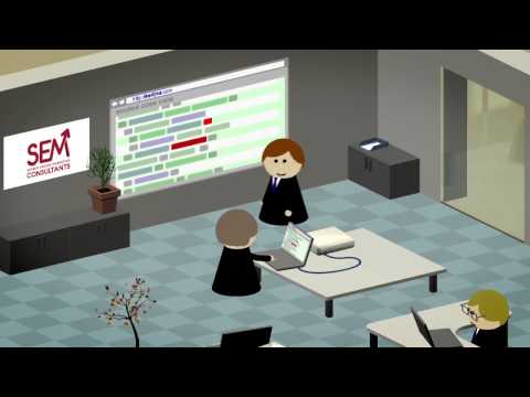 SEM Consultants video.