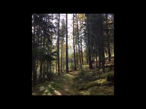 95. Vegard - Varmed [was with] [15.10.2017]