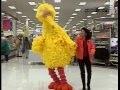 Stickin Together Big Bird Gets Lost Sesame Street Kids Guide To Life