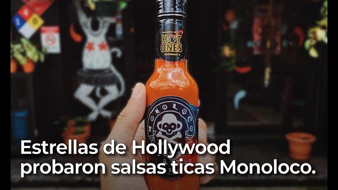 estrellas de hollywo